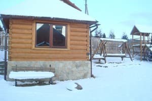 Золотая Рыбка 5