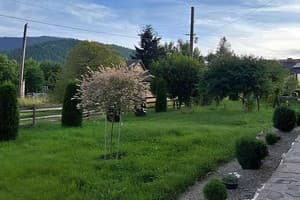 Золото Карпат 8