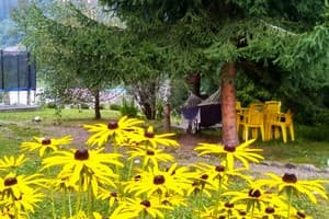 Зоряні Карпати 11