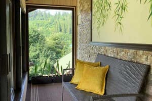 Зоряні Карпати 17