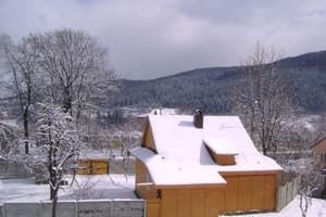 Коттедж в Карпатах